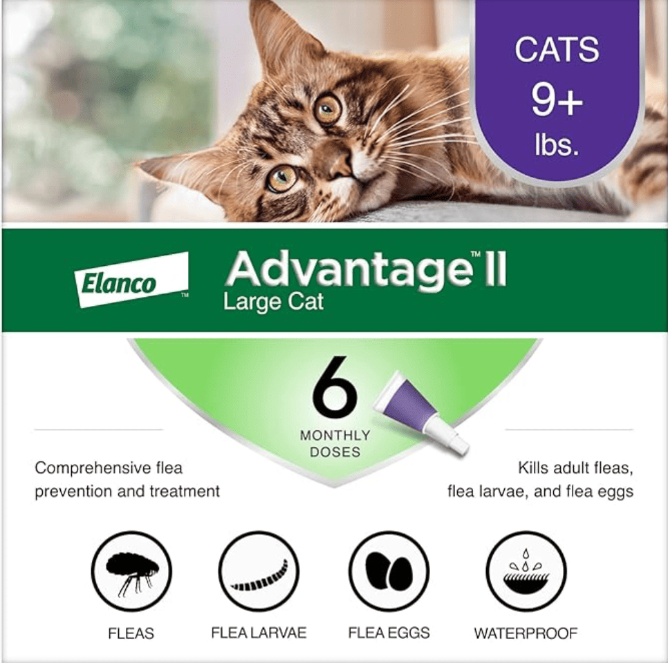 Advantage II Large Cat