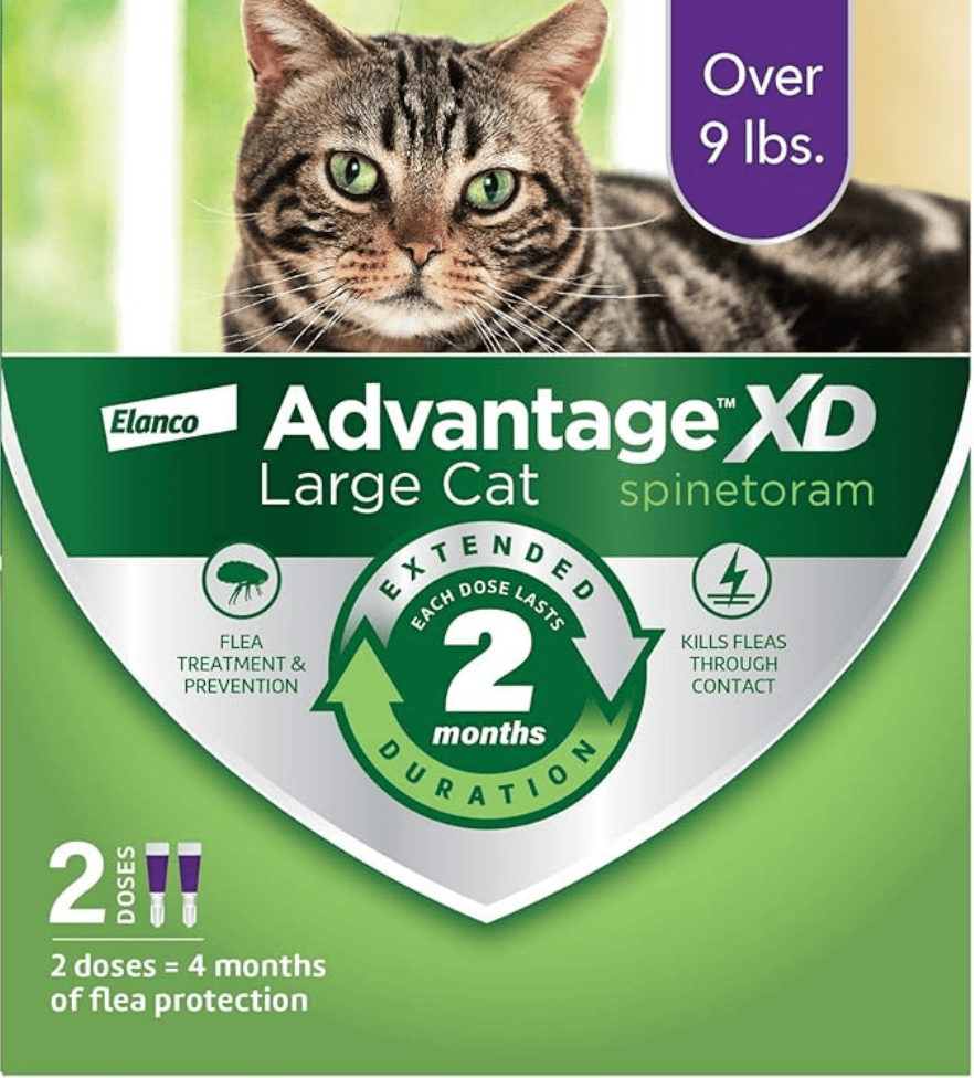 Advantage XD Large Cat