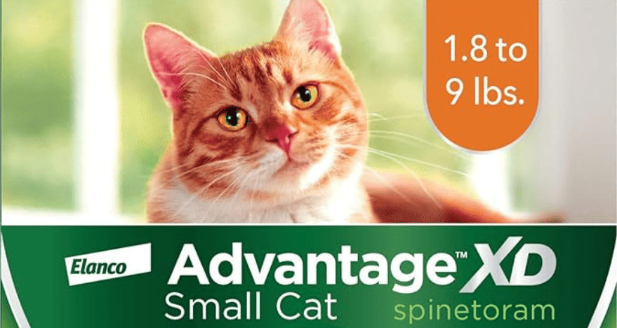 advantage-xd-small-cat advantage cat