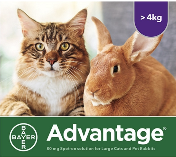 Advantage flea treatment for rabbits